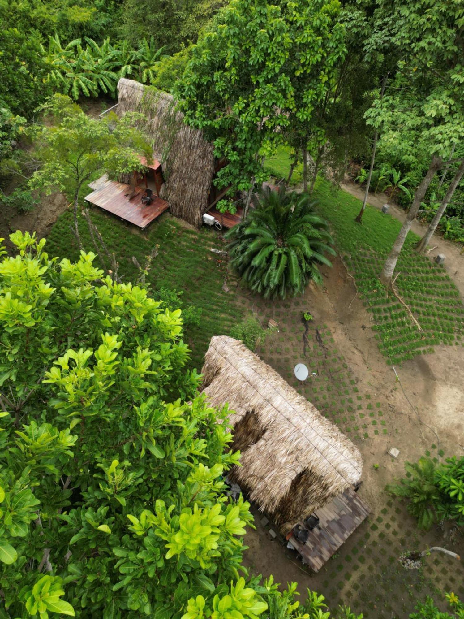 Tiny Houses Unique Tayrona - Dentro Del Parque Tayrona El Zaino Exterior foto