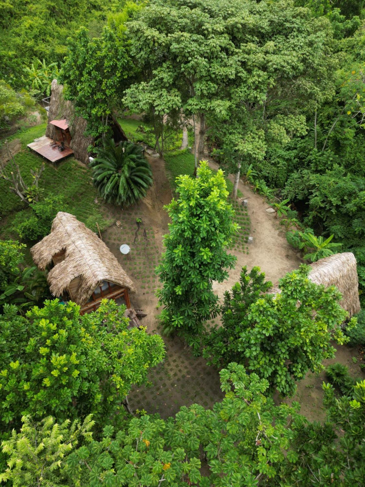 Tiny Houses Unique Tayrona - Dentro Del Parque Tayrona El Zaino Exterior foto