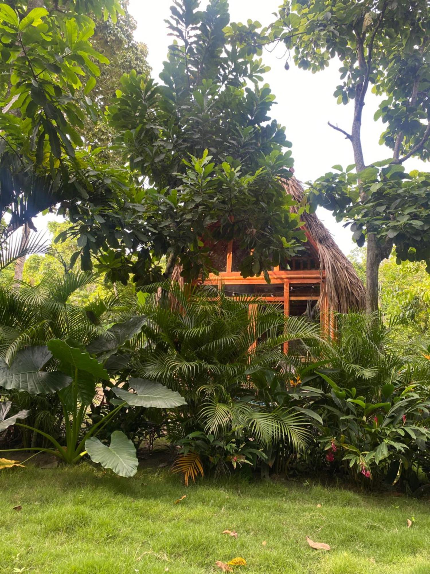 Tiny Houses Unique Tayrona - Dentro Del Parque Tayrona El Zaino Exterior foto